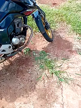 negrim10 online show from February 10, 2026, 12:31 pm