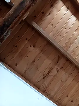 luna pinky online show from March 1, 2026, 4:42 pm