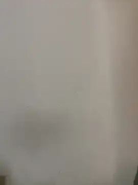 exoticshruti online show from February 11, 2026, 9:25 am