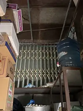 YANINA120 online show from March 1, 2026, 10:50 am