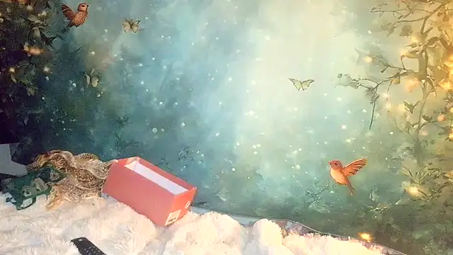 Blondie the librarian online show from April 21, 2026, 12:23 am