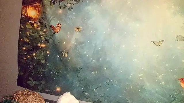 Blondie the librarian online show from April 21, 2026, 2:51 am