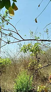 Krishna-10 online show from April 22, 2026, 4:59 am