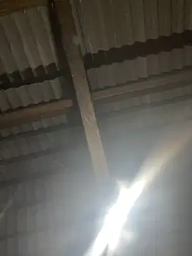 bikhidj online show from April 21, 2026, 1:39 pm