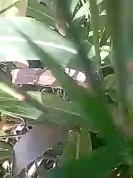 Cute Boy 4 online show from March 1, 2026, 5:09 am