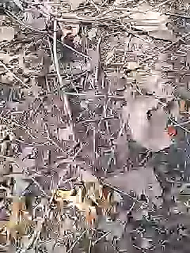 Cute Boy 4 online show from April 19, 2026, 9:08 am