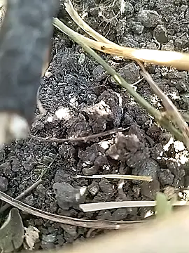 Cute Boy 4 online show from April 21, 2026, 7:36 am