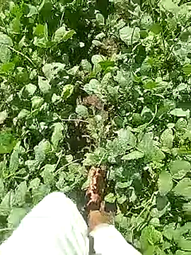 Cute Boy 4 online show from April 22, 2026, 4:37 am