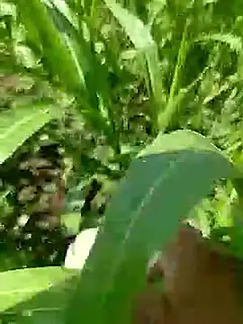 Cute Boy 4 online show from April 23, 2026, 5:19 am