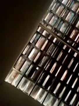 lorraine2036 online show from February 22, 2026, 9:52 am