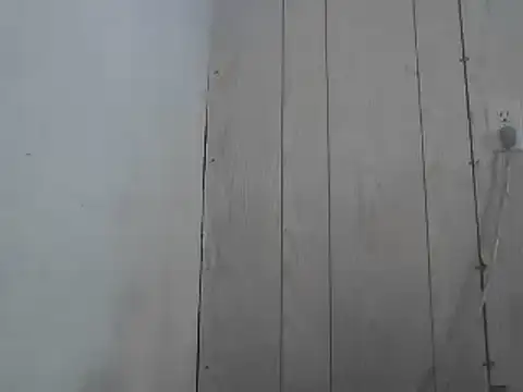 Prikev38452 online show from April 1, 2026, 2:14 pm