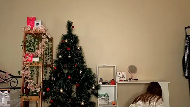 HoneyComfy online show from February 14, 2026, 11:18 am