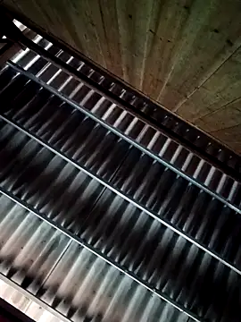 quynhbupbe11 online show from March 9, 2026, 7:34 am