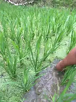 neyney110 online show from April 20, 2026, 11:50 pm