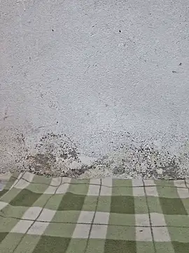 Snapshot of Mey_mey2k3 chatting on March 18, 2026, 4:48 am Mey mey2k3 online show from March 18, 2026, 4:48 am