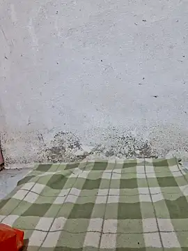 Snapshot of Mey_mey2k3 chatting on March 21, 2026, 2:16 am Mey mey2k3 online show from March 21, 2026, 2:16 am