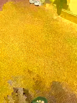 michaarMichaels online show from April 5, 2026, 6:54 am