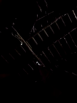 alex callmemaybe69 online show from February 9, 2026, 9:30 pm