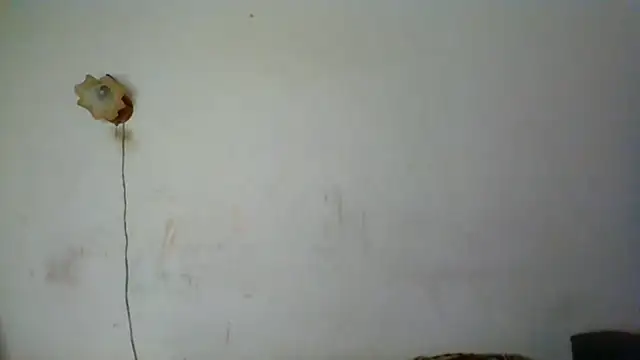 Snapshot of NickiKisinger chatting on May 16, 2026, 6:32 am NickiKisinger online show from May 16, 2026, 6:32 am