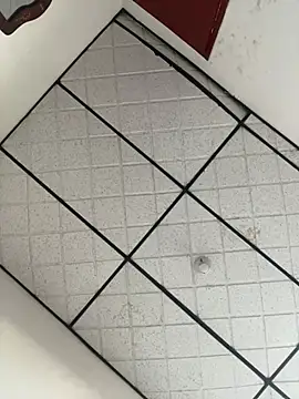 CarolineFyre online show from April 22, 2026, 11:45 am