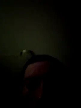 bigbooietx online show from March 1, 2026, 8:05 am