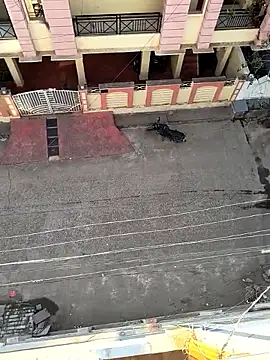 Castrol1289 online show from February 11, 2026, 3:00 am