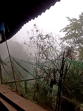 Anna 516 online show from March 6, 2026, 12:51 am