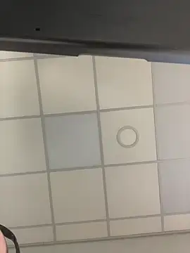 Mindfulstep2 online show from February 3, 2026, 1:38 pm