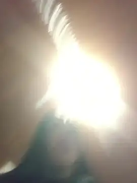 MeelFox online show from June 3, 2026, 2:58 am