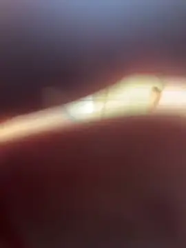 Kylxxx8 online show from March 29, 2026, 10:04 am