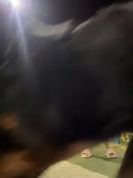 Arya    online show from February 19, 2026, 5:47 am