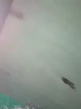 Hot ras28 online show from February 19, 2026, 7:54 pm