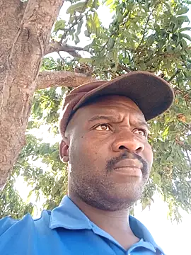 Sbuda3159 online show from February 11, 2026, 2:44 pm