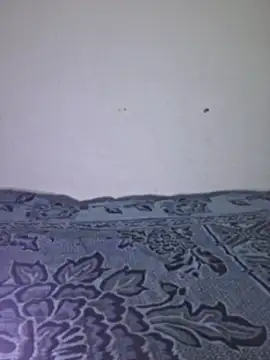 Sakeemaxxy online show from April 13, 2026, 9:09 pm