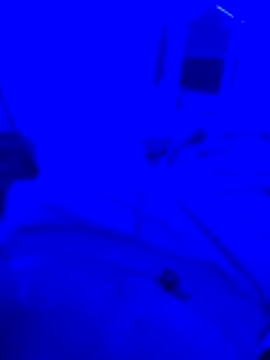 bojo69 online show from February 13, 2026, 12:12 pm