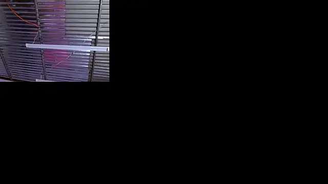 Snapshot of sophi_and_coby chatting on May 2, 2026, 5:12 am sophi and coby online show from May 2, 2026, 5:12 am