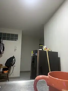 venezolana  caro online show from February 20, 2026, 2:19 am