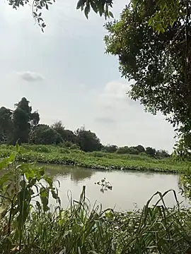 Lewd couple online show from April 20, 2026, 2:14 am