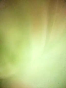 BIG QWEEN NO1 online show from February 20, 2026, 6:37 am