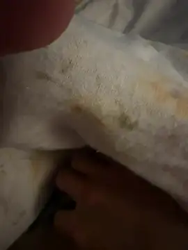 sbollando13 online show from February 8, 2026, 7:56 am