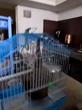 sexysilmy online show from February 25, 2026, 8:35 am