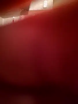 Shinlelove31 online show from February 14, 2026, 11:34 pm