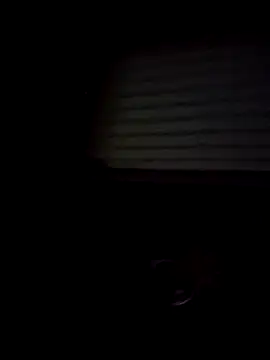 Shinlelove31 online show from February 15, 2026, 11:01 pm