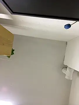 bbsitopiton online show from February 11, 2026, 2:49 am