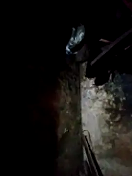 molly-xx online show from March 13, 2026, 11:00 pm