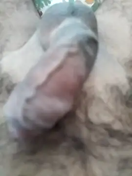 Love Sabby 700 online show from April 28, 2026, 4:50 am