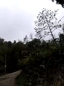 lovely-742 online show from March 24, 2026, 1:54 am