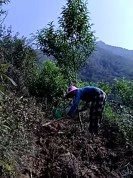 lovely-742 online show from April 21, 2026, 8:42 am