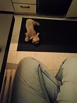 Ginevra01 online show from March 9, 2026, 8:24 pm