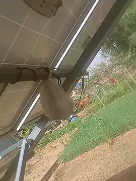 Snapshot of mastmalai chatting on March 17, 2026, 4:39 am mastmalai online show from March 17, 2026, 4:39 am